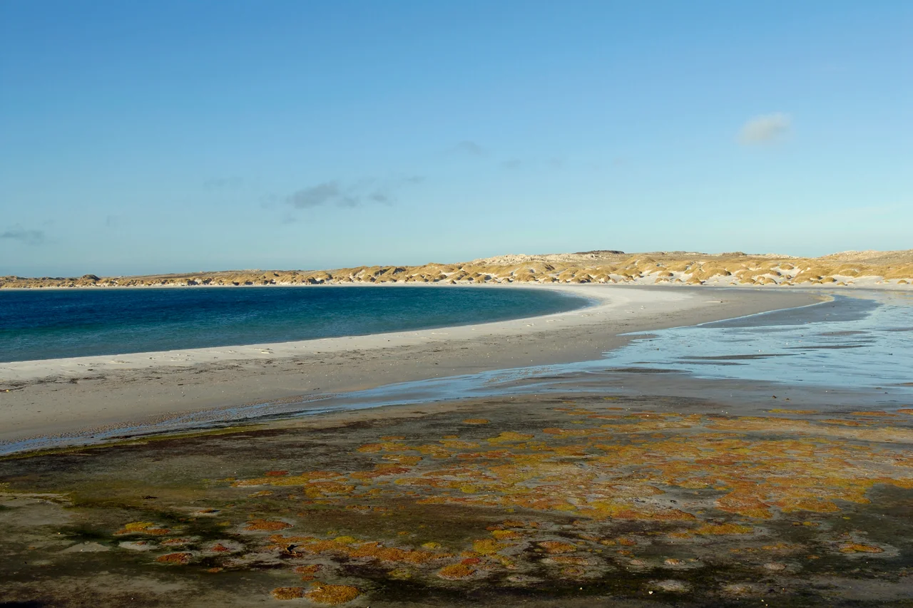 Yorke Bay on East Falkland