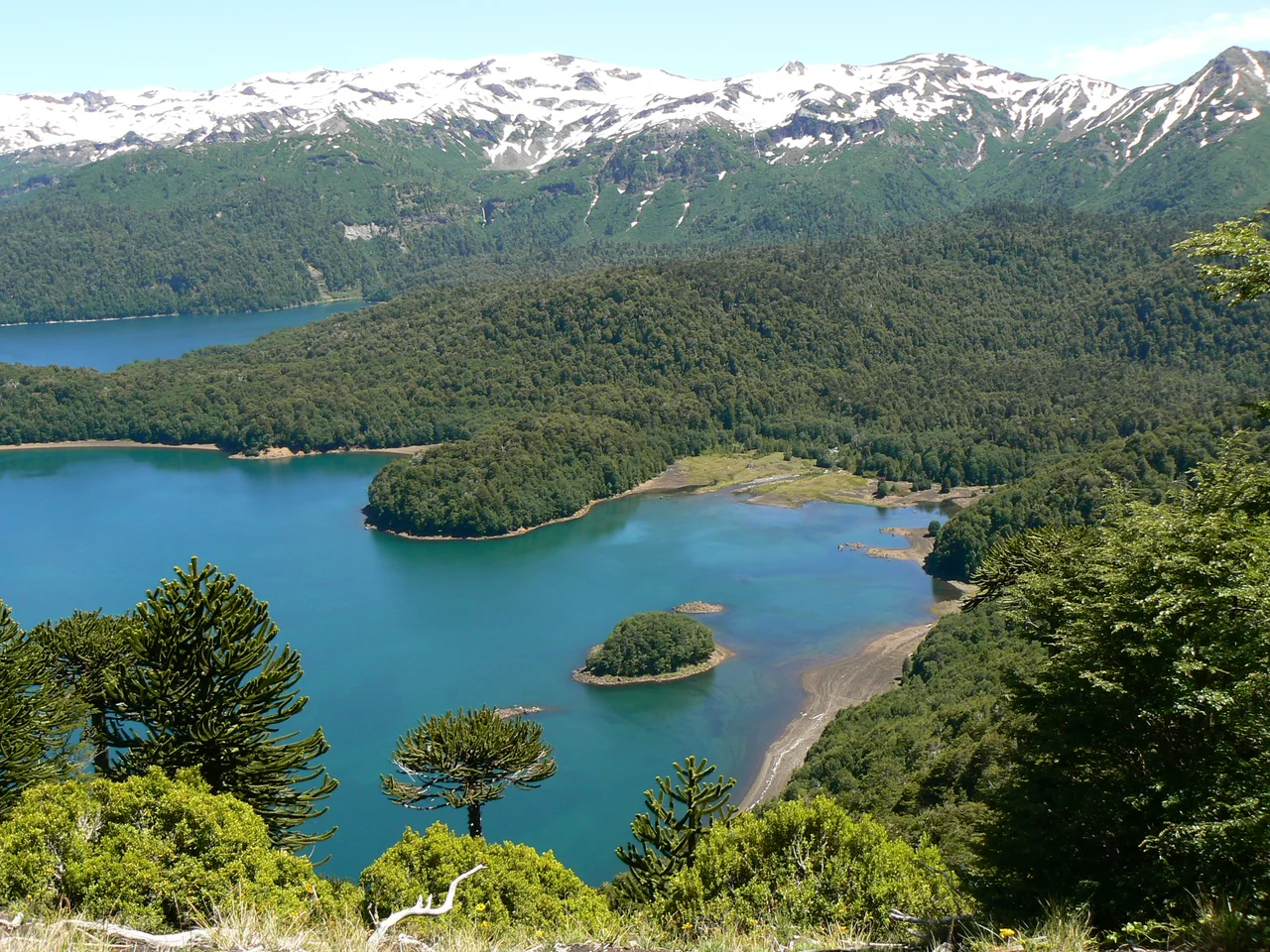 Looking out over Lago Conguillío, Conguillío National Park, Chile.