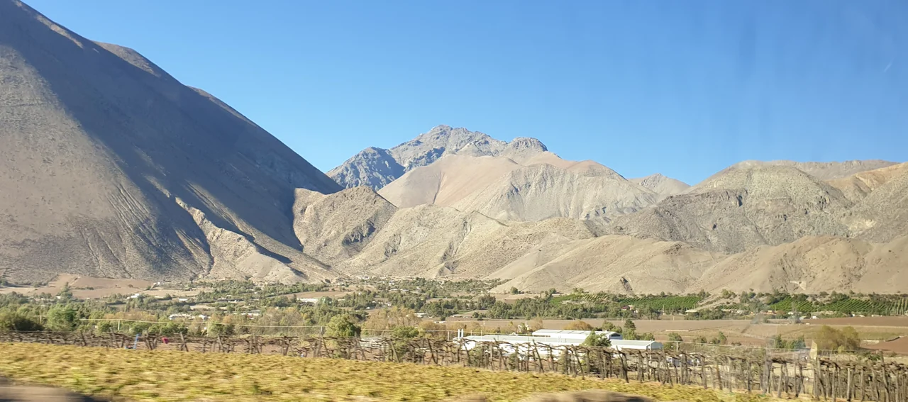 Vicuña, Chile