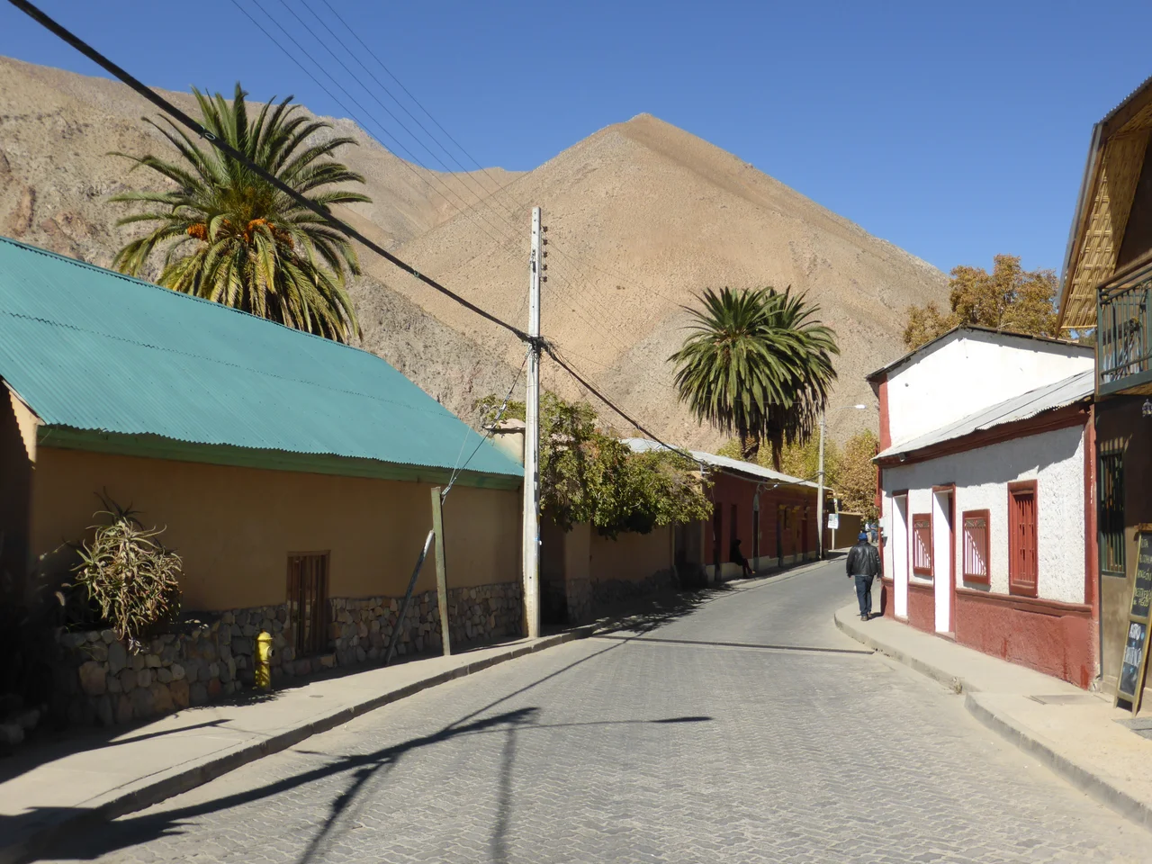 La iglesia del pueblo de Pisco Elqui está dedicada a Nuestra Señora del Rosario. Es de estilo neogótico. Construida principalmente en madera (torre y bóvedas), aunque con muros bajos de mampostería.