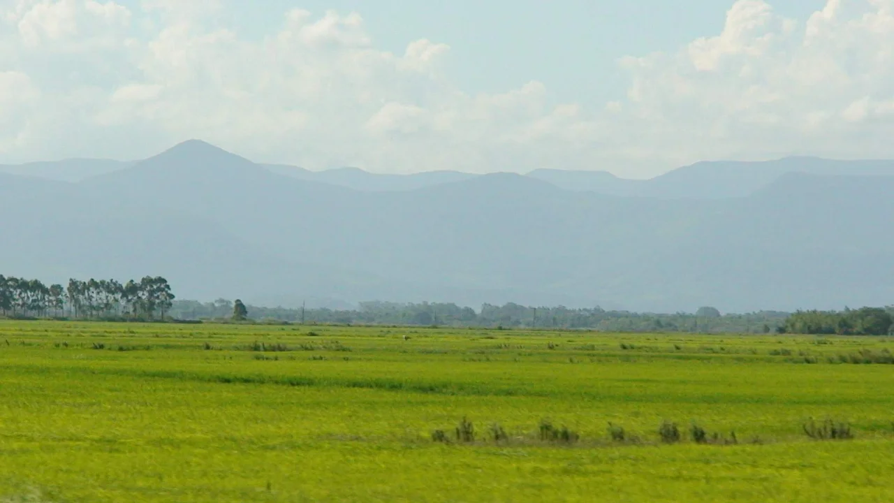 Pampa grasslands in Serra Geral, Rio Grande do Sul, Brazil.