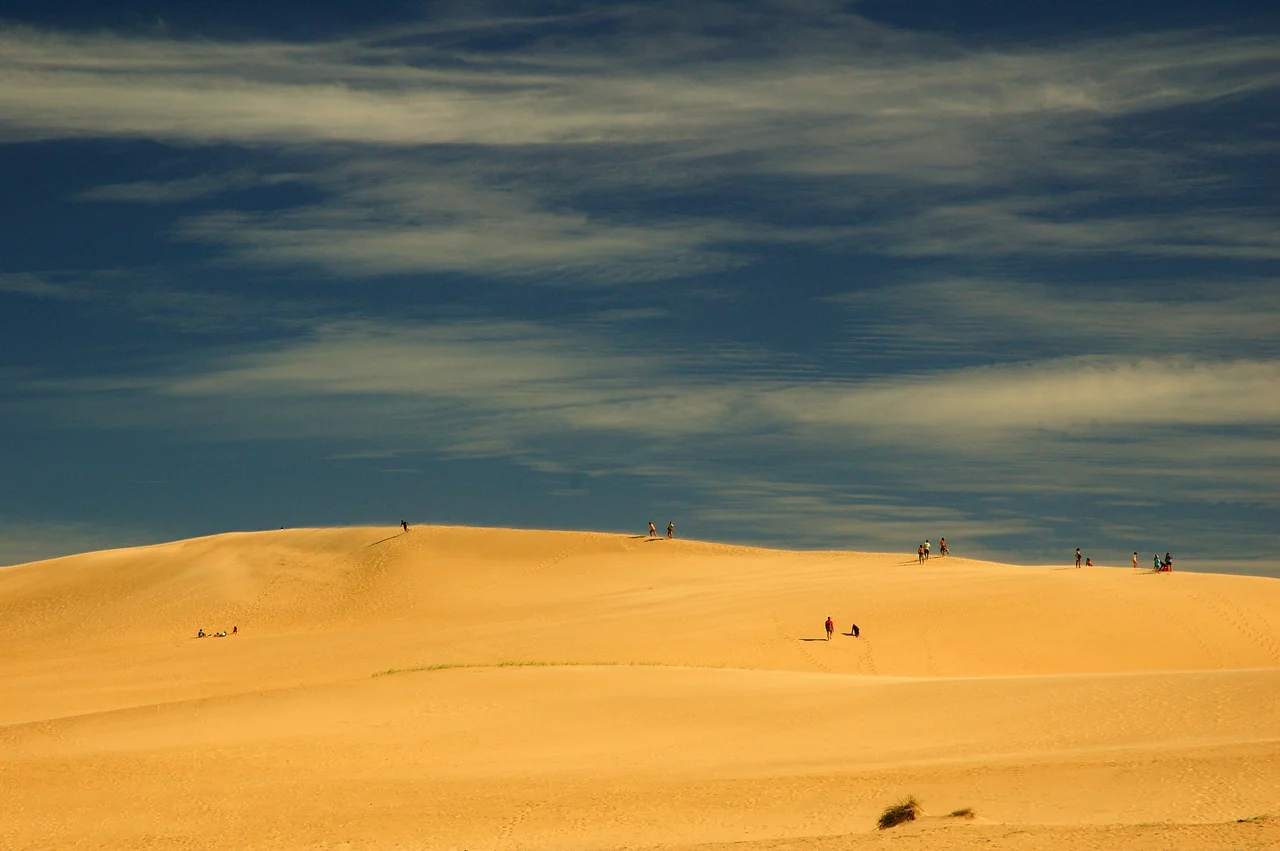 Dunas de arena situadas entre los balnearios Valizas y Cabo Polonio, Uruguay (enero de 2006).
Author: Fernando da Rosa