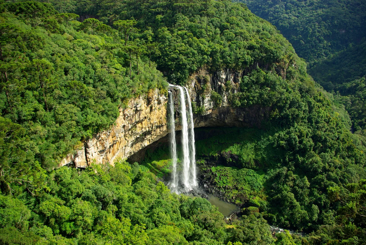 Caracol falls, near Canela, Rio Grande do Sul, Brazil.