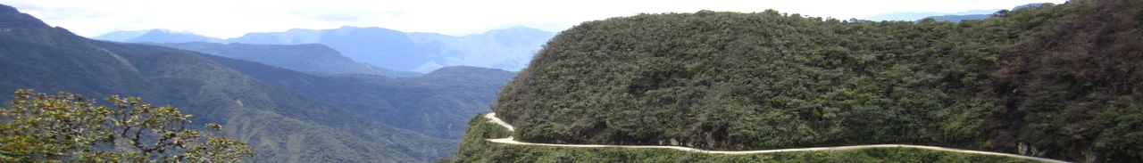 As per wikipedia:

The North Yungas Road (alternatively known as Grove's Road, Coroico Road, Camino de las Yungas, Road of fate or Death Road) is a 61-kilometre (38 mi) or 69-kilometre (43 mi) road leading from La Paz to Coroico, 56 kilometres (35 mi) northeast of La Paz in the Yungas region of Bolivia. It is legendary for its extreme danger and in 1995 the Inter-American Development Bank christened it as the "world's most dangerous road". One estimate is that 200 to 300 travellers are killed yearly along the road. The road includes crosses marking many of the spots where vehicles have fallen.