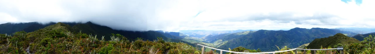 Podocarpus National Park