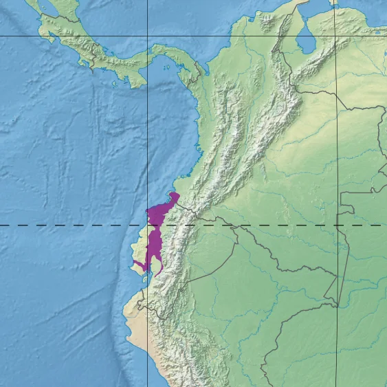 Ecoregion NT0178 - Western Ecuador moist forests (in purple)