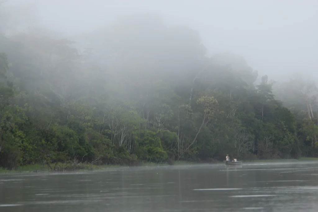 Tamshiyacu Tahuayo Regional Conservation Area, Iquitos, Amazon Rainforest, Peru.