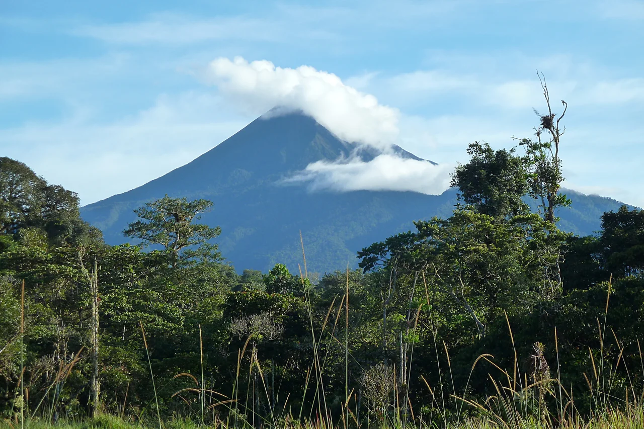 Volcán Sumaco - 14 June 2015 - Wildsumaco Lodge, Napo Province, Ecuador