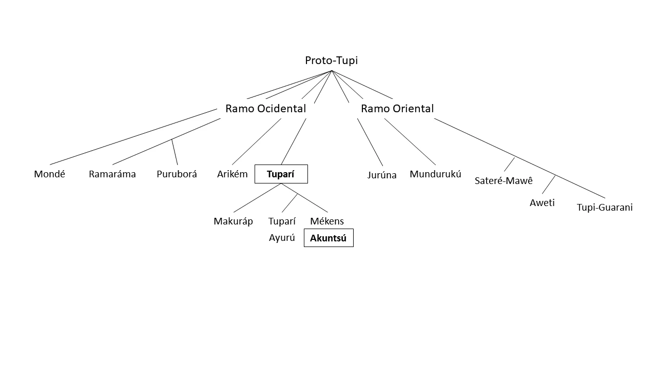 Cladograma completo das famílias derivadas do tronco Tupi, com ênfase para o Tuparí e as línguas dela originadas.