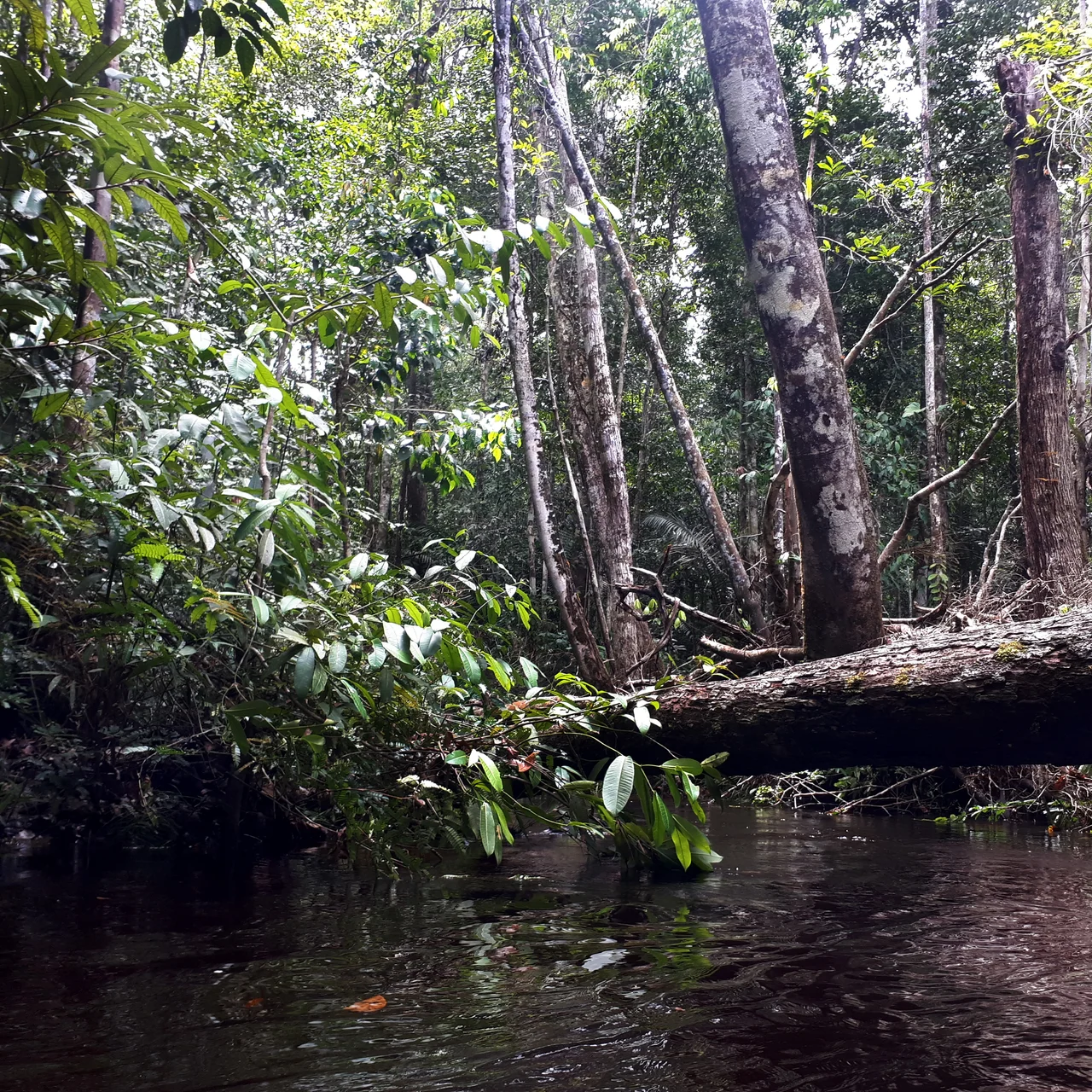 Caverna Maroaga
