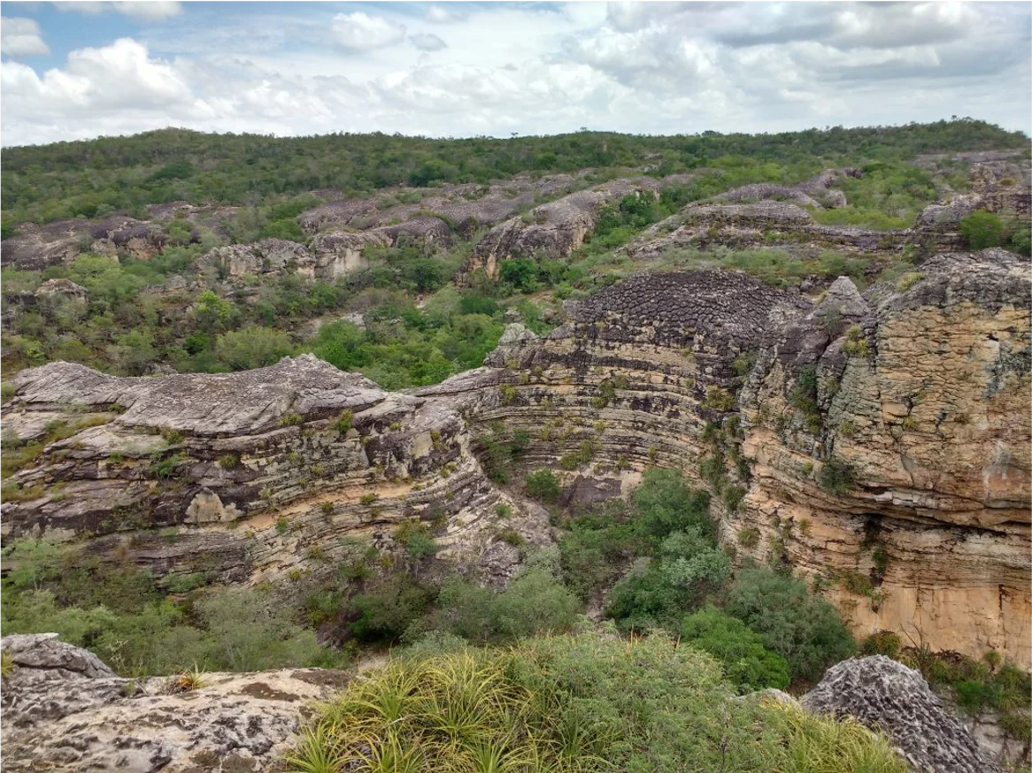 field view of the Parnaíba Basin