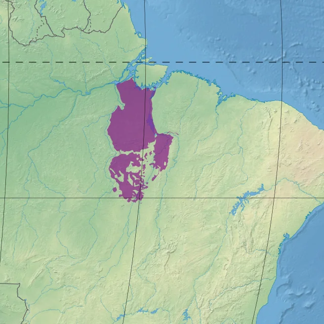 Ecoregion NT0180 - Xingu-Tocantins-Araguaia moist forests (in purple)