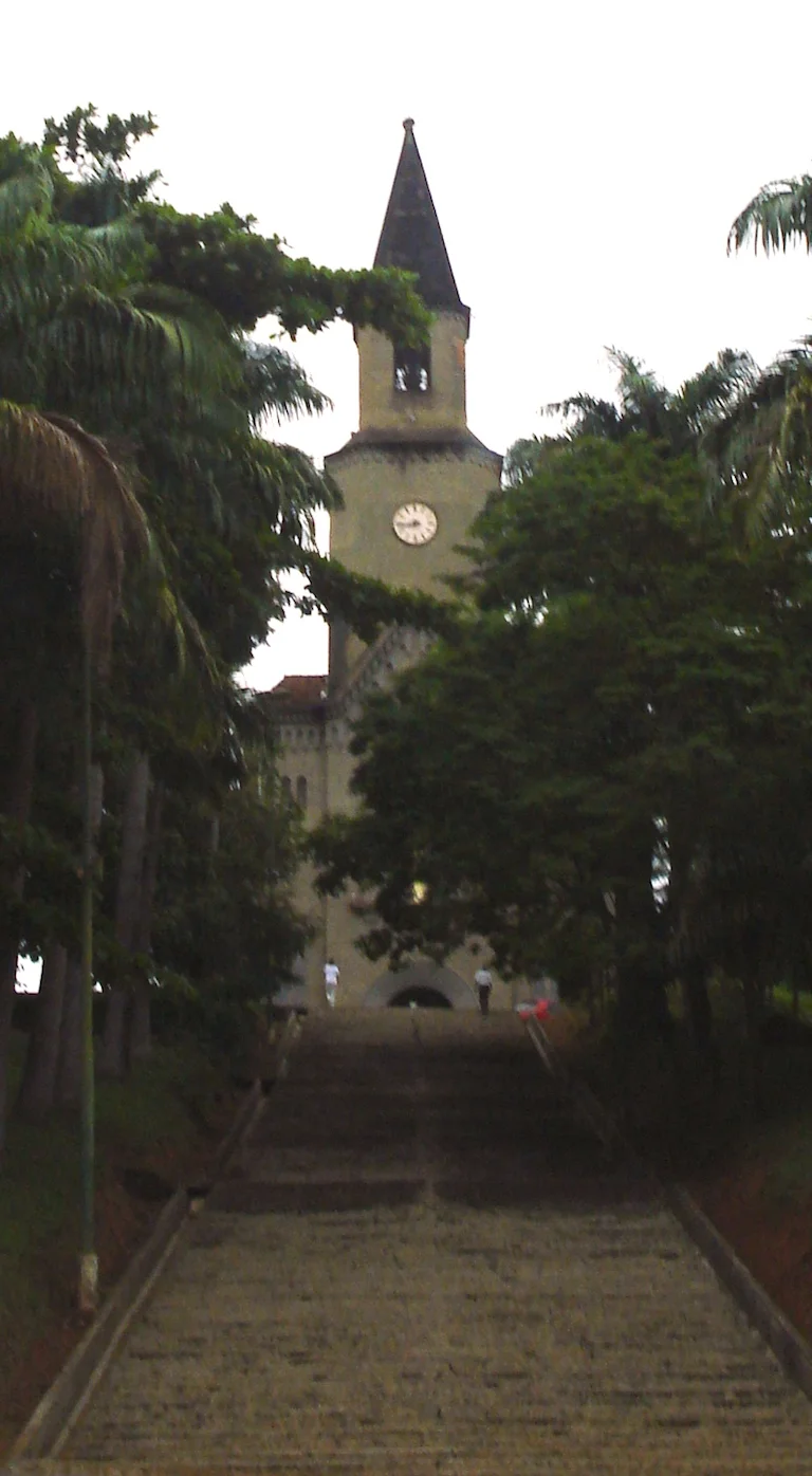 San Sebastian Cathedral in Leopoldina, Minas Gerais, Brazil