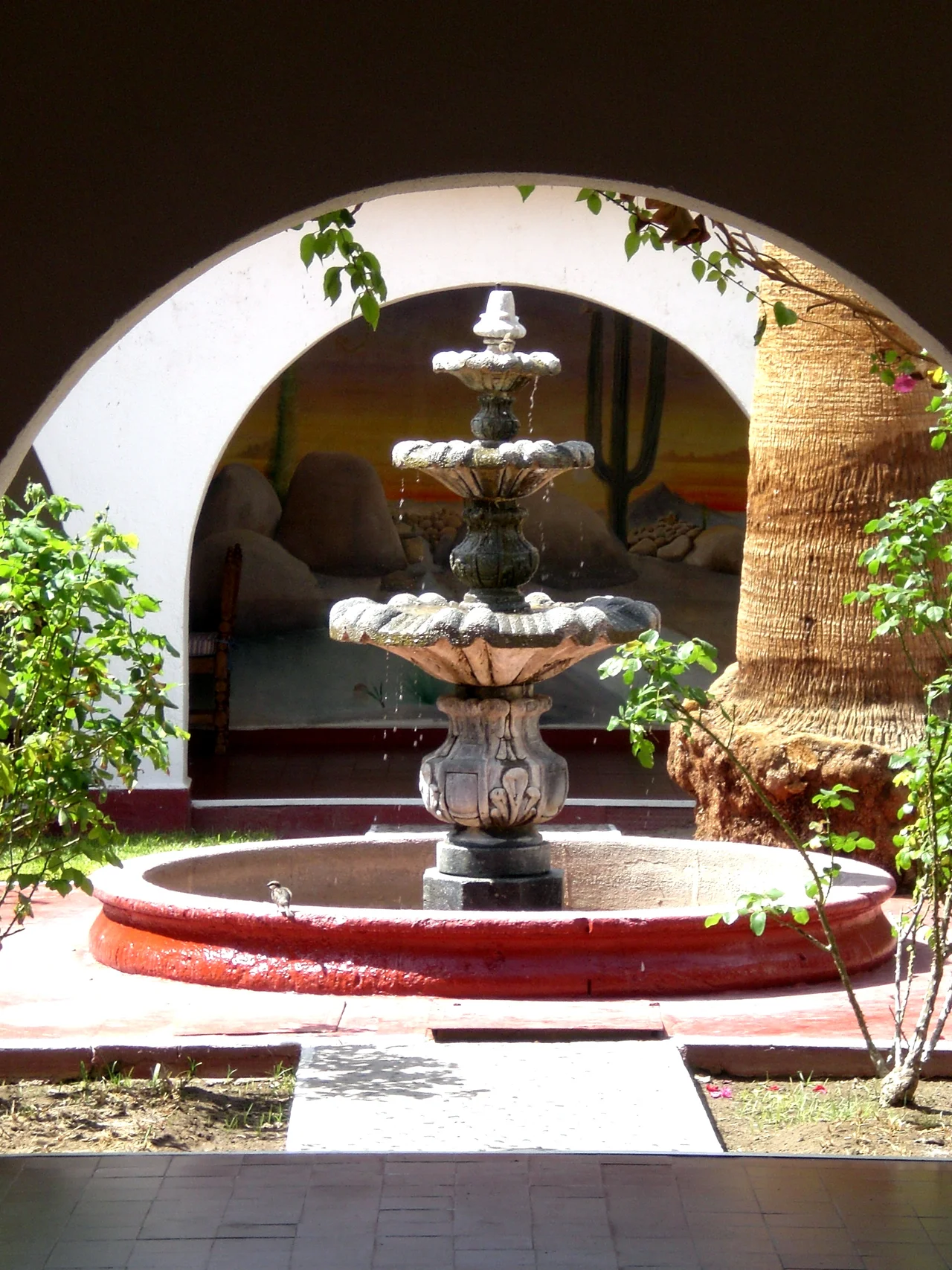Bird and Fountain in Cataviña
