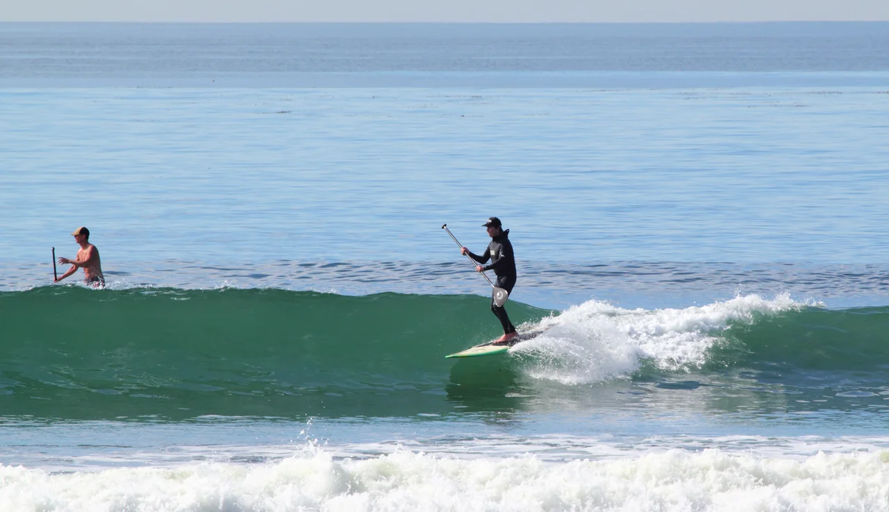 Stand-Up Paddle surfers at Cardiff Reef in Encinitas, California.