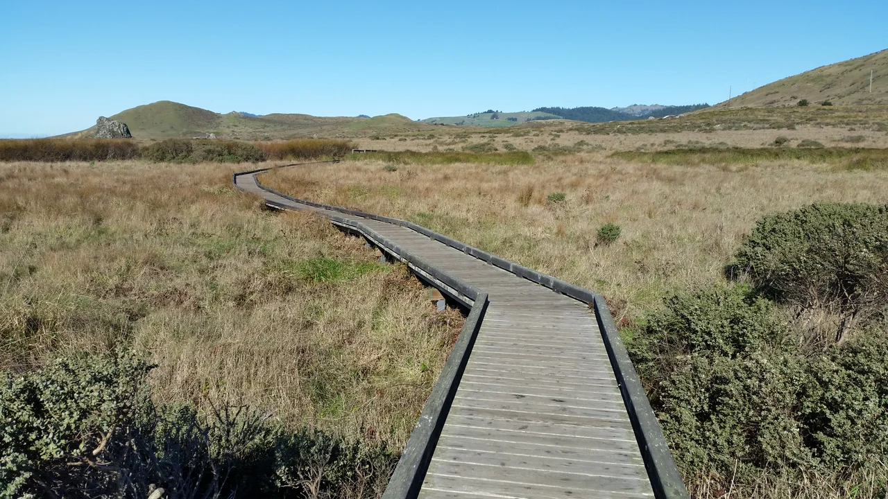 This view is taken looking north along the Kortum Trail through the coastal terrace of the Sonoma Coast State Park with California coast range mountains visible on the horizon.
