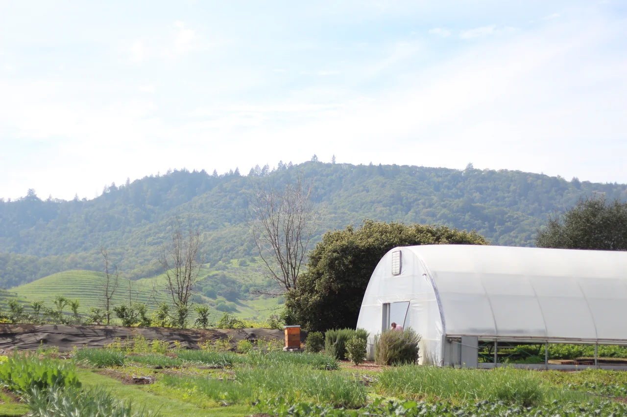 French Laundry Restaurant Greenhouse