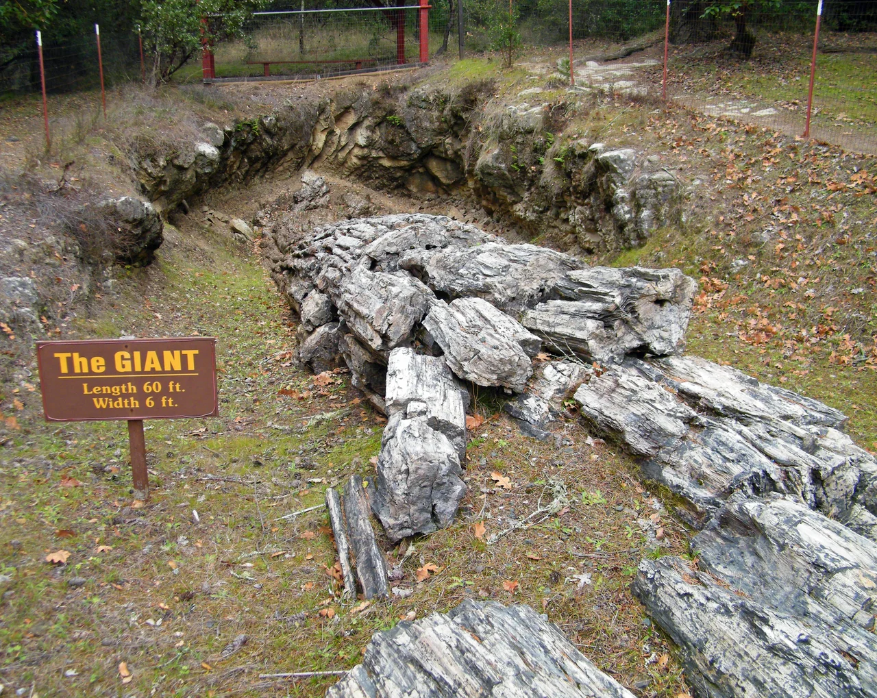 This is a photo of a place or building that is listed on the California Historical Landmark listing in the United States. Its reference number is