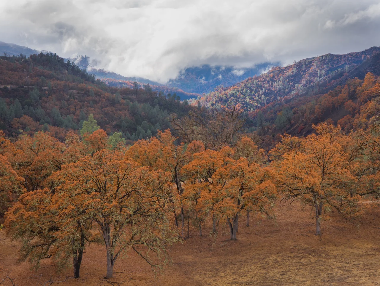 The Berryessa Snow Mountain National Monument, jointly managed by the BLM and U.S. Forest Service, encompasses nearly 331,000 acres of public land in the heart of northern California’s Inner Coast Range.  Rising from near sea level in the south to over 7,000 feet in the mountainous north, and stretching across nearly 100 miles and dozens of ecosystems, the area possesses a richness of species that is among the highest in California and has established the area as a biodiversity hotspot. A part of the BLM’s National Conservation Lands, the Monument offers a wide range of outdoor activities, including hiking, hunting, fishing, camping, off-highway vehicle use, horseback riding, mountain biking and rafting. 

Photo by Jesse Pluim, BLM