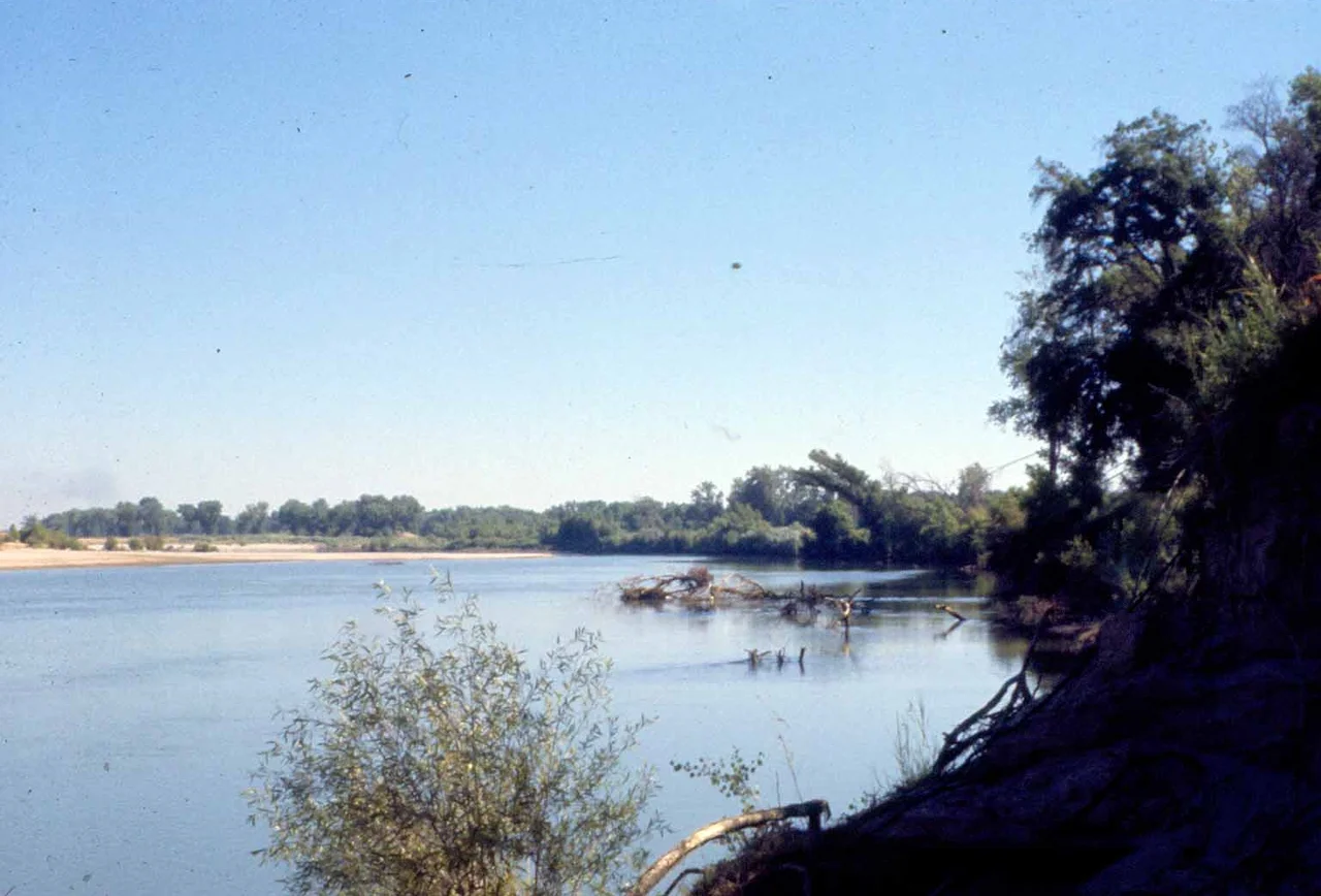Feather River upstream from Bear River May 1962. CDFW file photo.