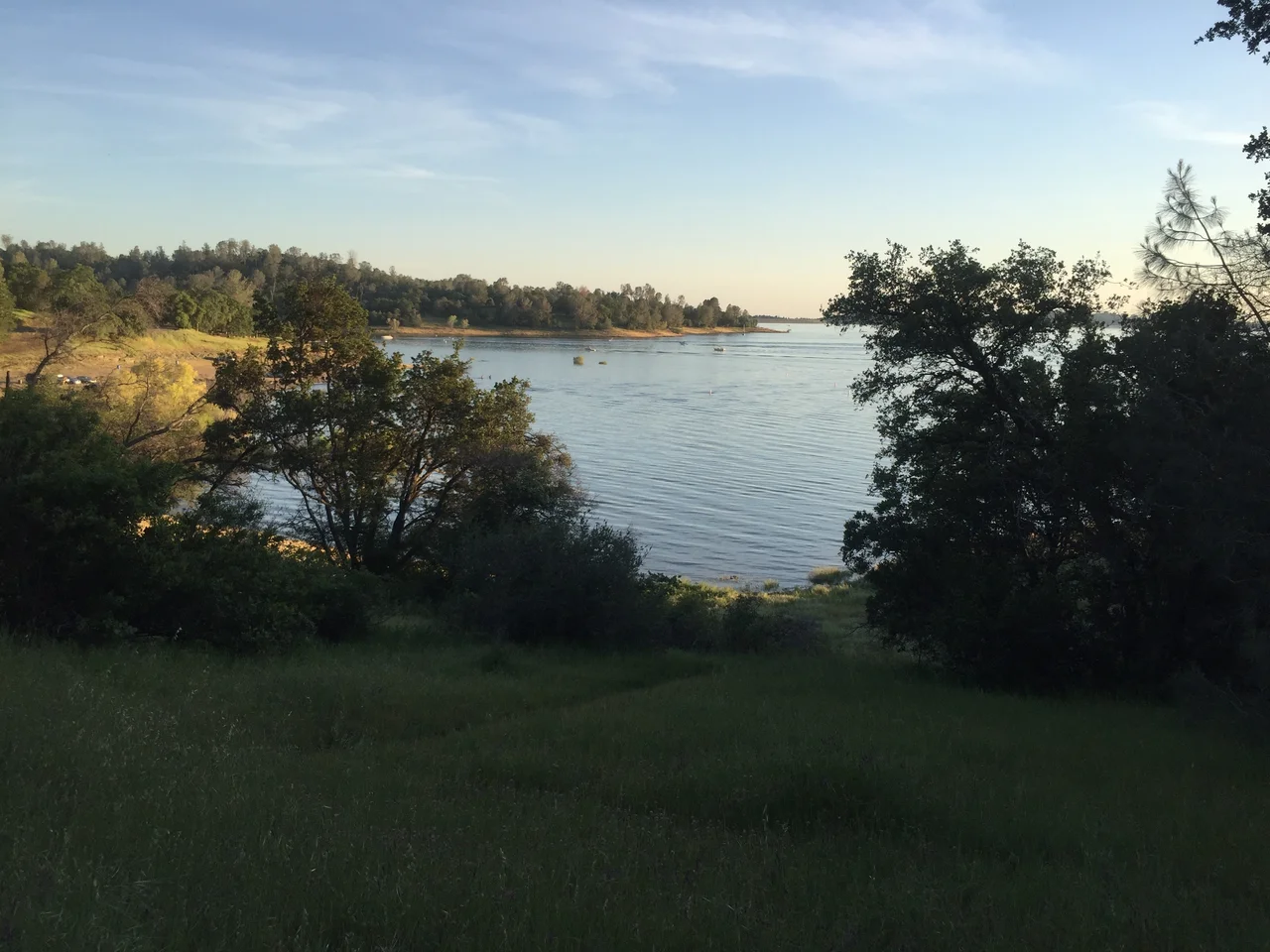 lake surrounded by some bushery