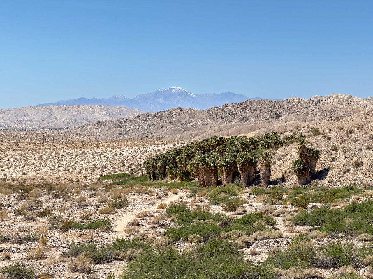 Indio Hills, California Fan Palm Oasis, and San Gorgonio Mountain. Image taken in Coachella Valley Preserve. This image was captured in the Upper Coachella Valley and Hills EPA Level IV Ecoregion (81e) and faces the Southern California Mountains EPA Level III Ecoregion (8). In One Earth's ecoregion framework, this image captures the Sonoran Desert Ecoregion, with the California Montane Chaparral and Woodlands Ecoregion occurring on the San Bernardino Mountains seen in the distance.