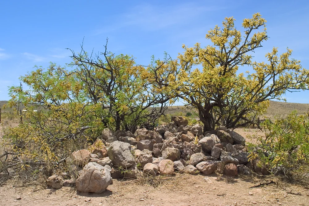 This pile of stones erected by members of the U.S. Army marks the site of Geronimo's surrender on September 4, 1886. Located in en:Skeleton Canyon-(en:Peloncillo Mountains (Hidalgo County)), with its terminus in west in southeast Cochise County, Arizona.