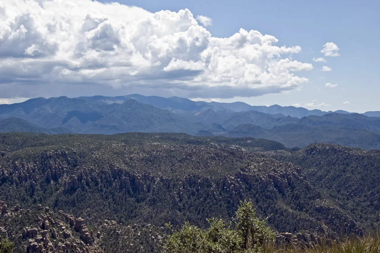 In the foreground are the hoodoos of the Chiricahua Natinal Monument (see below for another view of these geological structures).
In the distance is the caldera of the Turkey Creek volcano, which erupted 27 million years ago.
An information placque says, "The eruption of the Turkey Creek Caldera was 1,000 times greater than the 1980 eruption of Mt. St. Helens. It spewed more than 100 cubic miles of magma, in the form of incandescent ash and pumice, into the atmosphere and buried a region of at least 1,200 square miles. This thick blanket of ash and pumice fusd to form the rhyolite tuff we see today. Tn places it is 2,000 feet thick. The ash clouds circled the globe, affecting weather for years afterward.