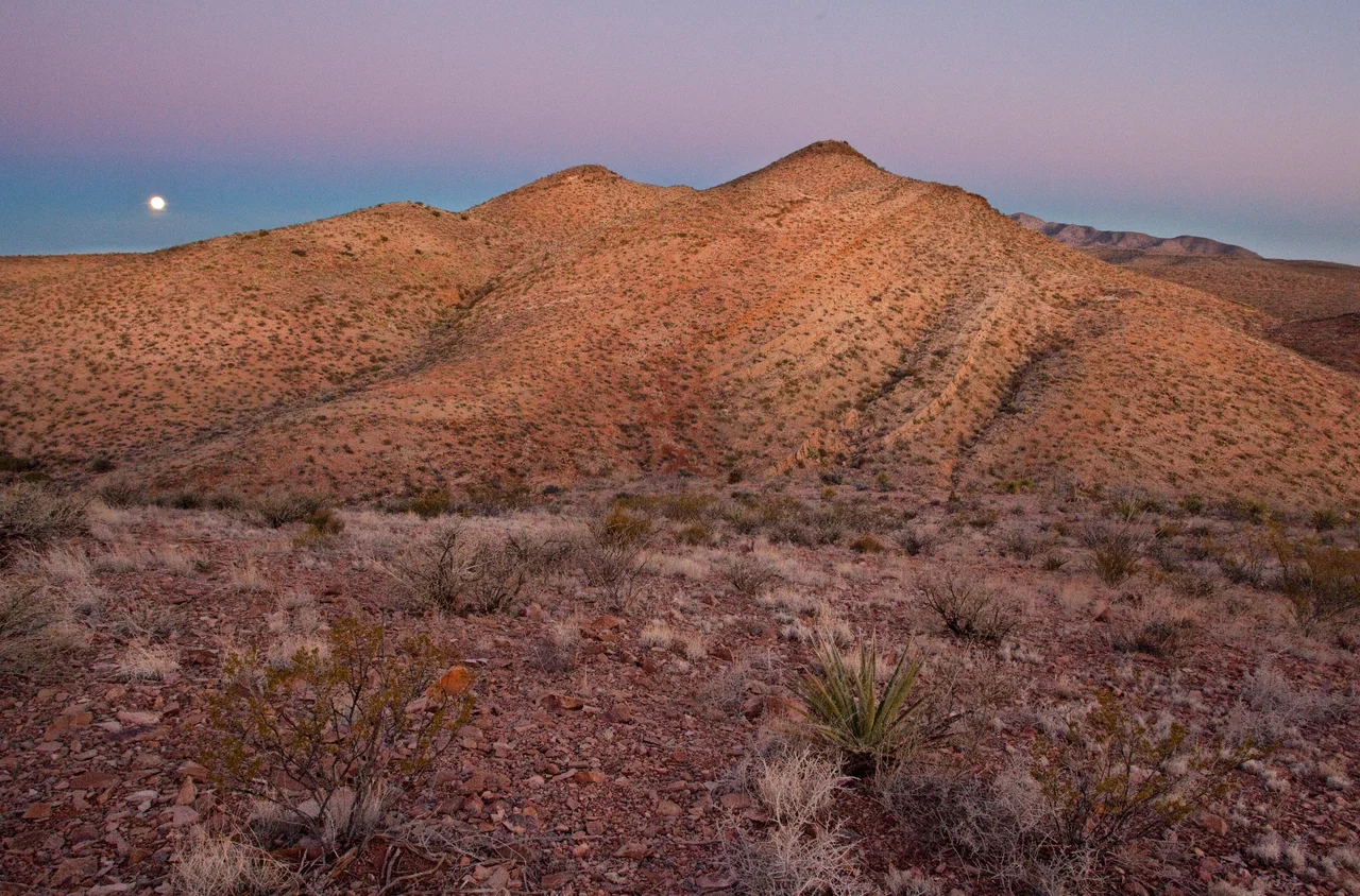 conservationlands15 Social Media Takeover, March 15th
Our #conservationlands15 celebration continues with dinosaur finds on the BLM’s National Conservation Lands.  Check out the Prehistoric Trackways National Monument just outside of Las Cruces, New Mexico, as a preview of cool things to come.  The Monument includes a major deposit of Paleozoic Era fossilized footprint mega-trackways from a time that predates even the dinosaurs.
The trackways contain footprints of numerous amphibians, reptiles, and insects (including previously unknown species) as well as plants and petrified wood dating back 280 million years. These fossils collectively provide new opportunities to understand animal behaviors and environments. The site contains one of the most scientifically significant Early Permian track sites in the world. Visitors can view trackways displays at the New Mexico Museum of Natural History in Albuquerque.
And any trip to the Prehistoric Trackways and Las Cruces area should include the must-see Organ Mountains-Desert Peaks National Monument, just a stone’s throw away from across the Rio Grande Valley, and one of New Mexico’s most breathtaking landscapes. The area offers hiking, camping, rock climbing and nature study right in the back yard of the community.

Photos by Bob Wick, BLM