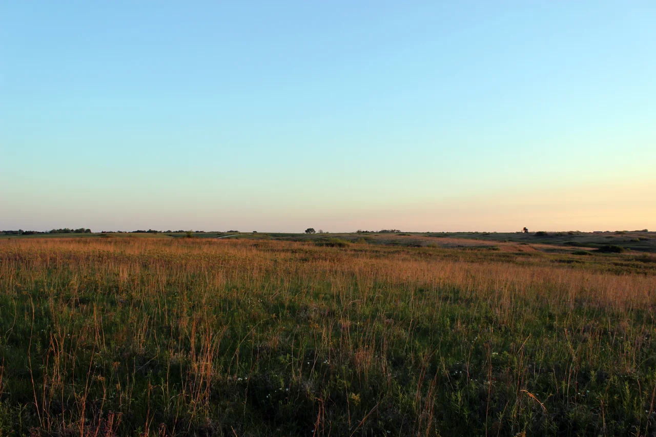 Cole Camp, Missouri is known for its tall grass prairies where cattle graze like bison did centuries ago. This management tool is used throughout the Cole Camp Prairies Conservation Opportunity Area is funded through a Wildlife Restoration Grant with the Service and Missouri Department of Conservation.
Photo by Jessica Piispanen/USFWS