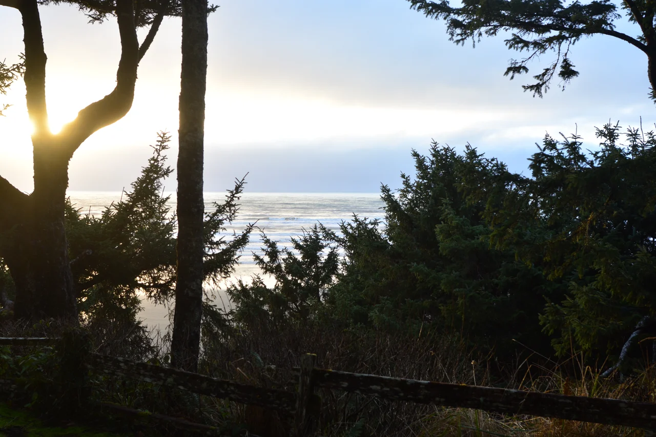 Houses near the beach at Moclips, Washington, U.S.