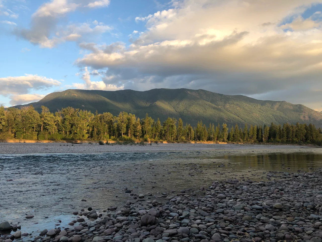 View of the Flathead River form the banks of Columbia Falls