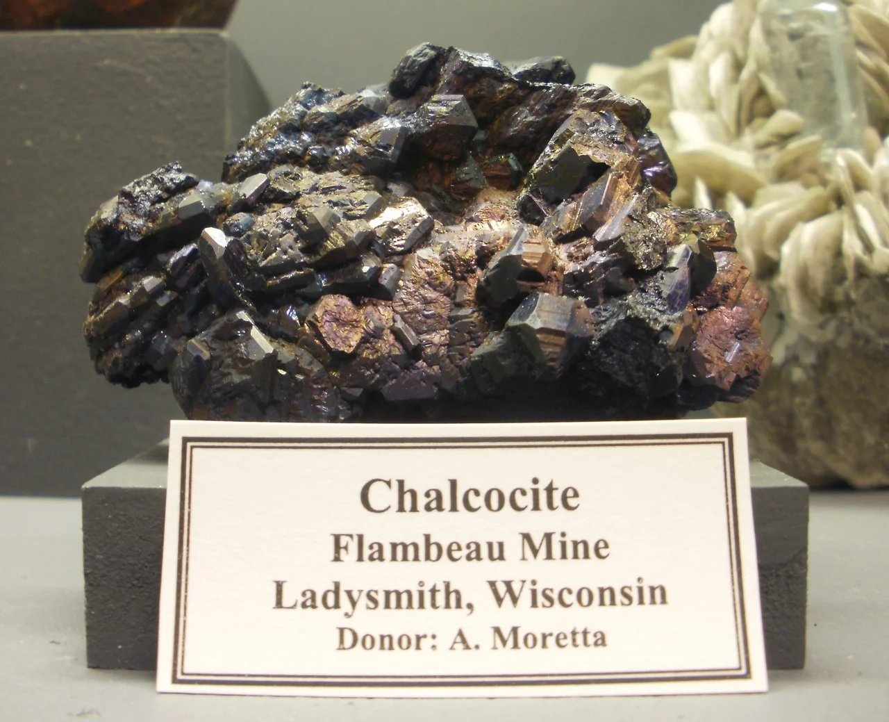 Chalcocite from the Flambeau Mine, Ladysmith, Wisconsin. Held in the A. E. Seaman Mineral Museum.