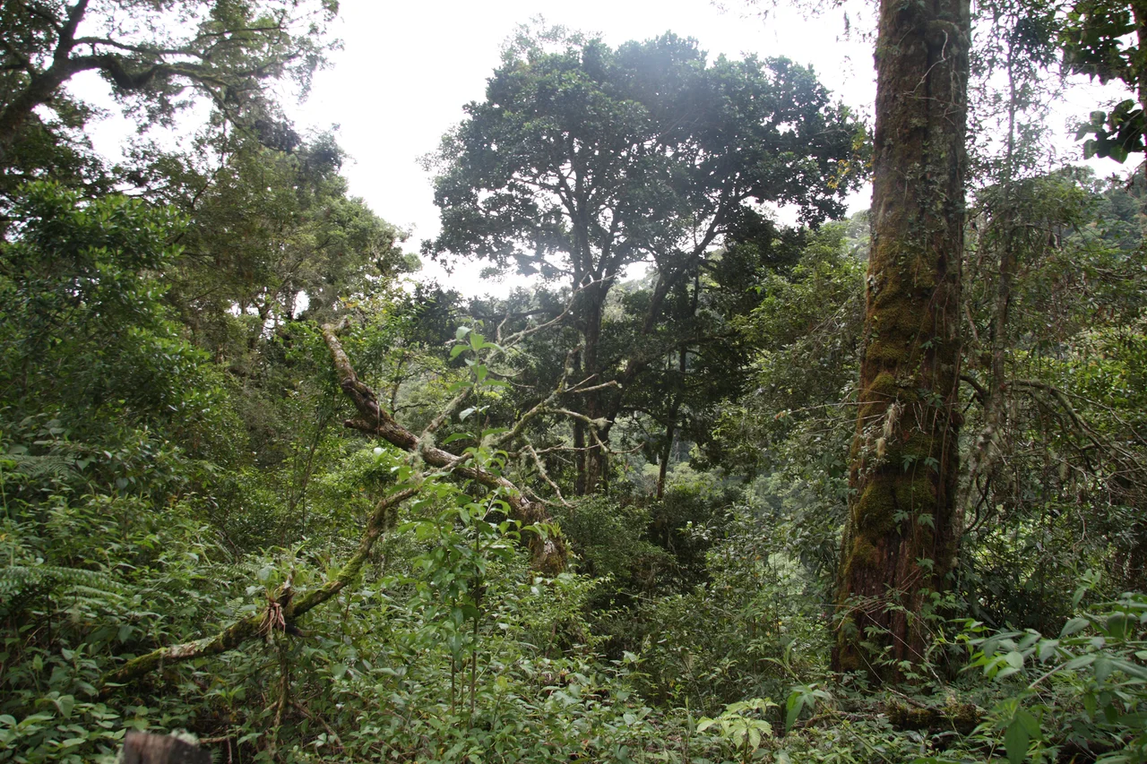 La Amistad International Park.JPG