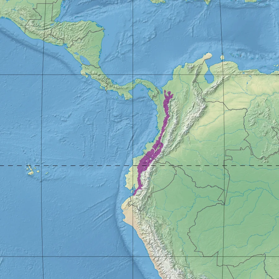 Ecoregion NT0145 - Northwestern Andean montane forests (in purple)