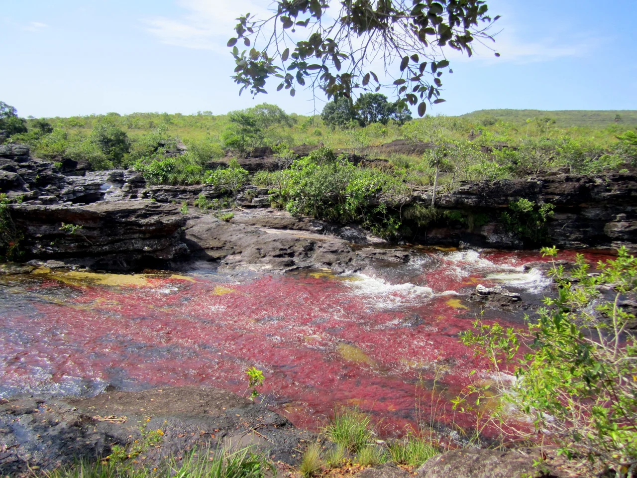 View of Caño Cristales, the River of Seven Colors, La Macarena, Colombia