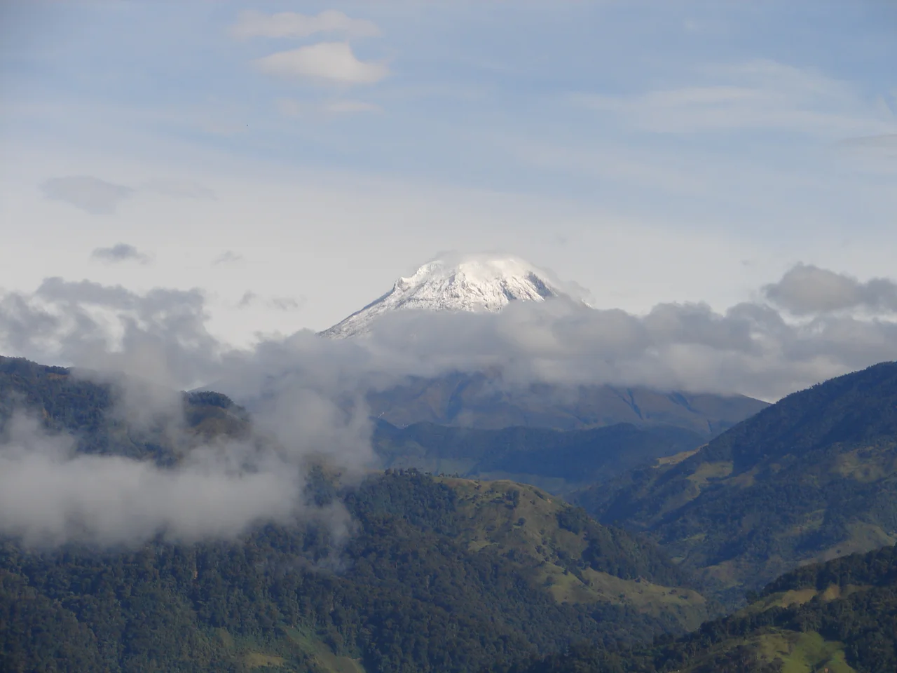 Esta fotografía fue tomada en un área protegida de Colombia con el código 11 del RUNAP.
