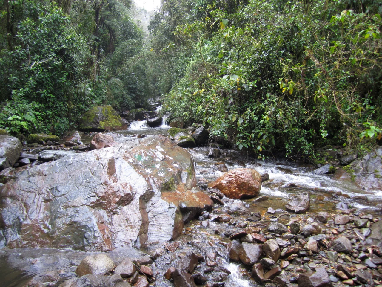 The river along which tourists trek on the way to the cafe (and further on to Parque Nacional los Nevados) in Valle de Cocora, Quindío, Colombia