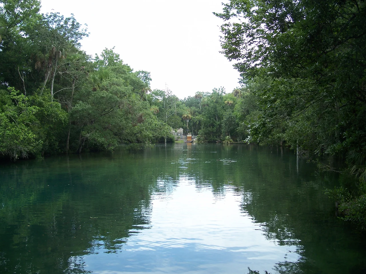 Homosassa Springs, Florida: Homosassa Springs Wildlife State Park:
River or stream in the park