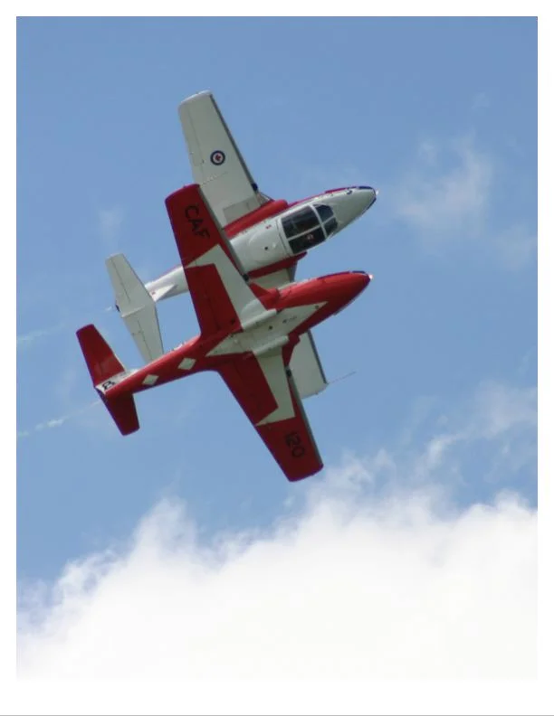 Snowbirds (two)