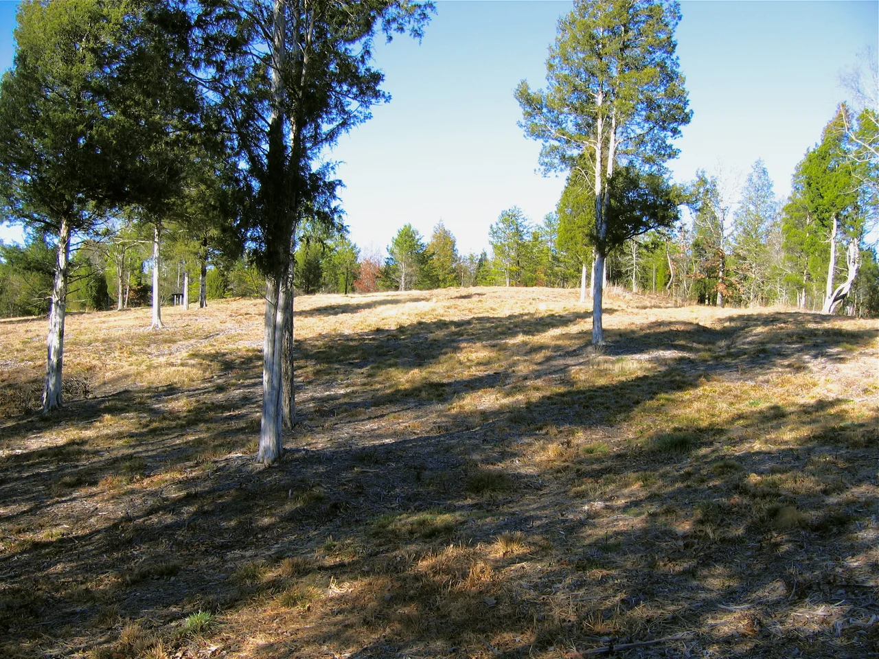 Musgrove Mill battlefield, near Cross Anchor, South Carolina.