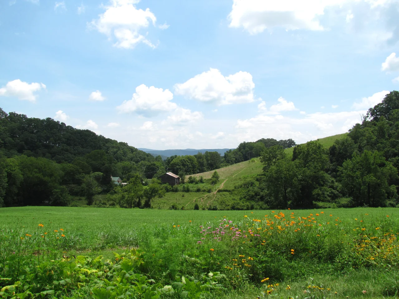 The lower Big Creek Valley, viewed from the Amis House in Rogersville, Tennessee, United States.
