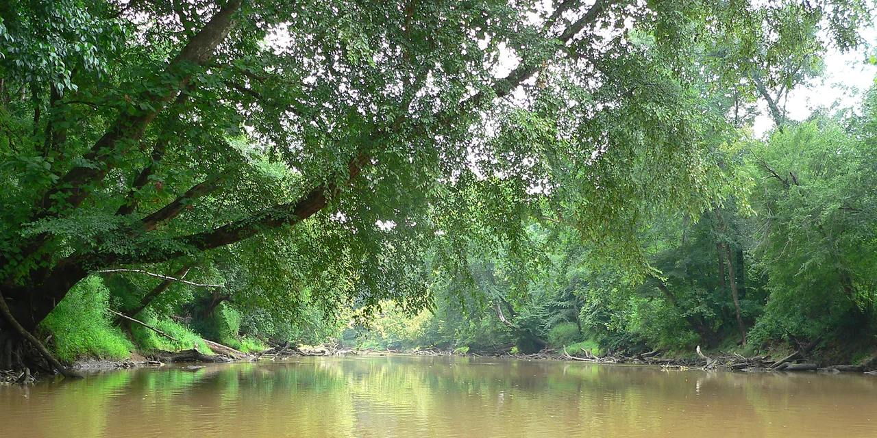 The Neuse River, looking downstream from the cockpit of a kayak.Photo taken with a Panasonic Lumix DMC-FZ20 in Johnston County, North Carolina, USA.