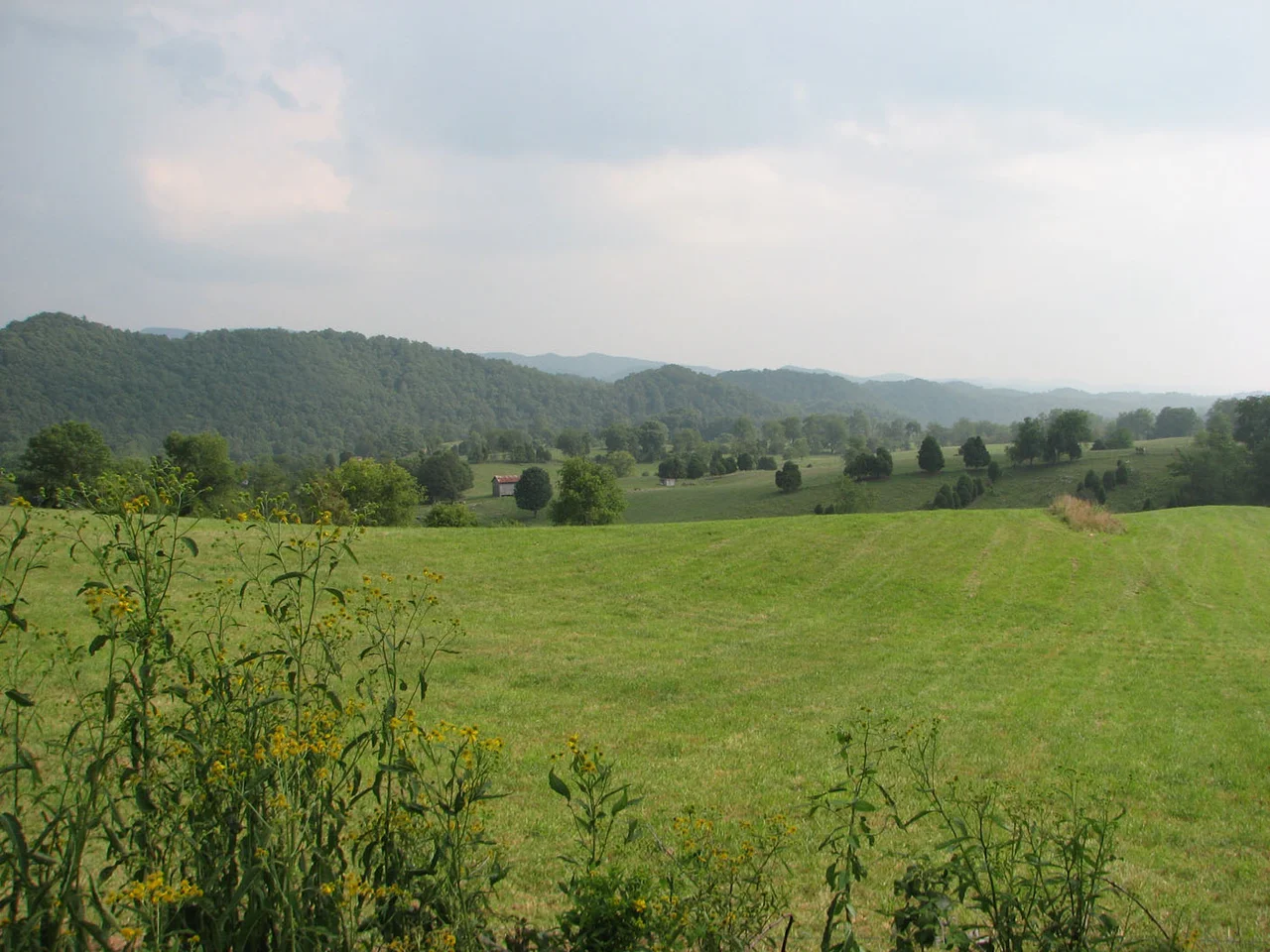 Photograph of Washington County off of Loves Mill RD by Friendship Baptist Church, near Wideners Valley