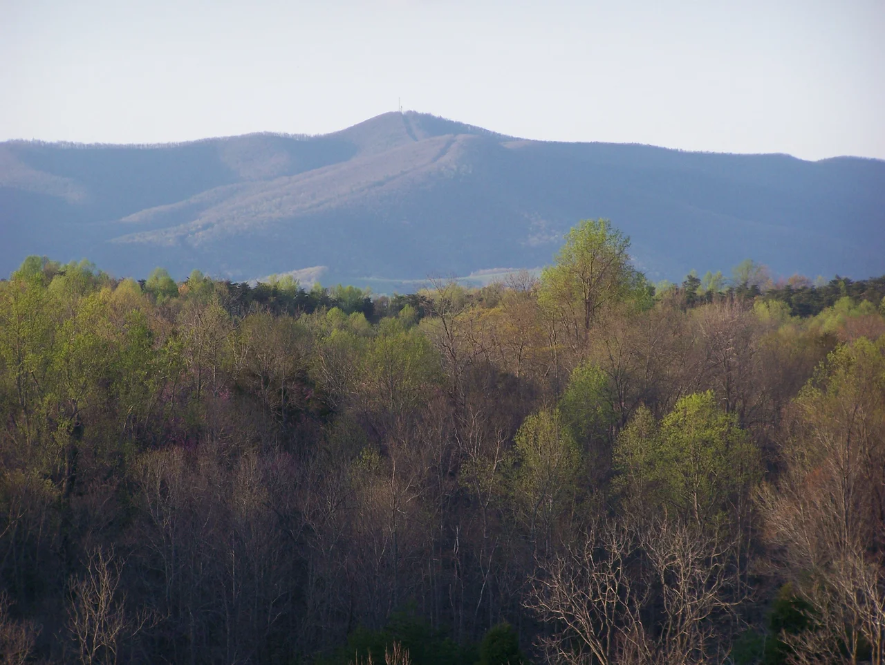 Bull Mountain, Patrick County, Virginia