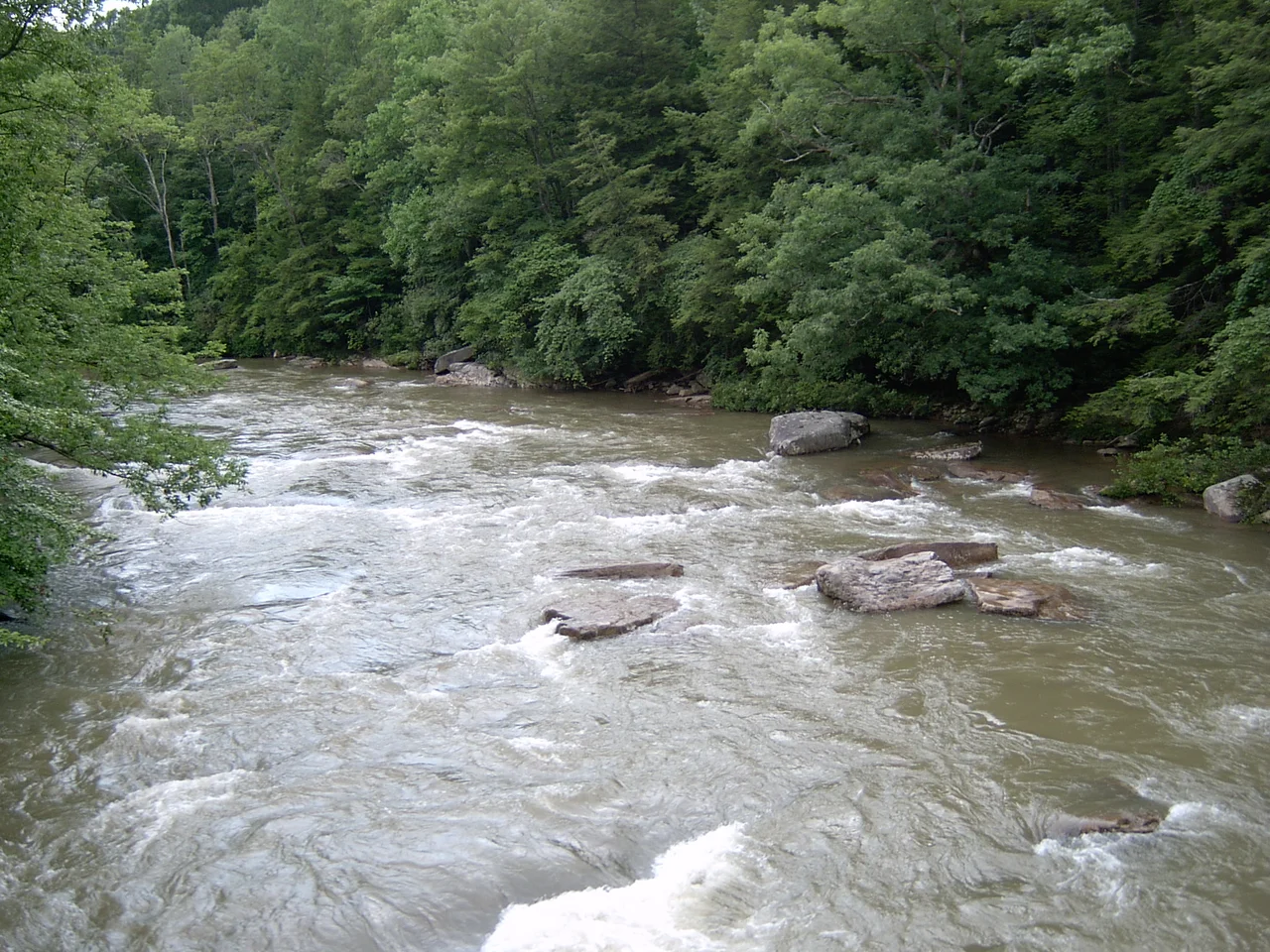 en:Middle Fork River in en:Audra State Park, en:Barbour County, West Virginia. Photo taken on July 14, 2004 by Brian M. Powell.
