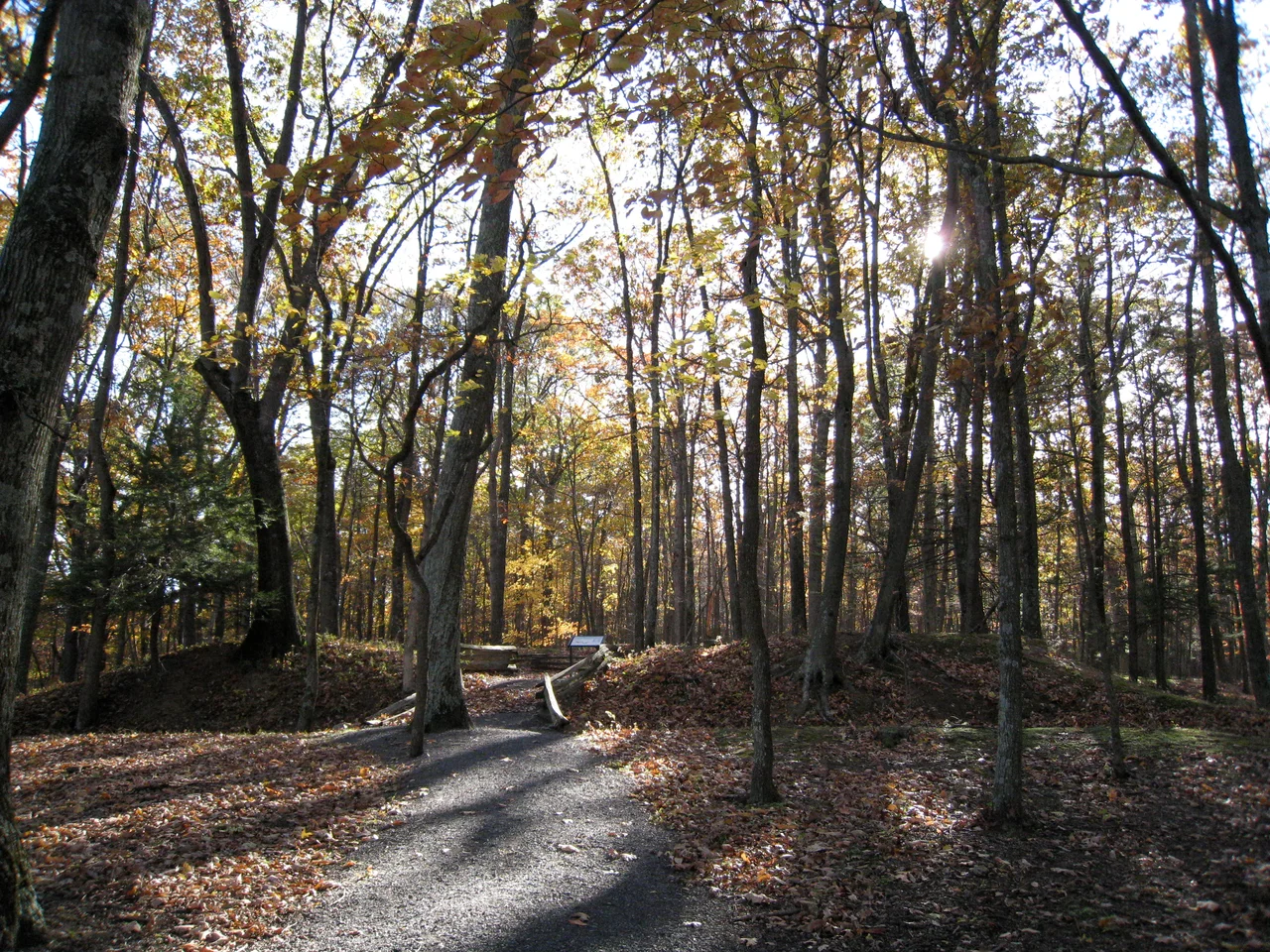 Fort Mill Ridge Civil War Trenches off U.S. Route 50 on Mill Creek Mountain near Romney, West Virginia, United States.