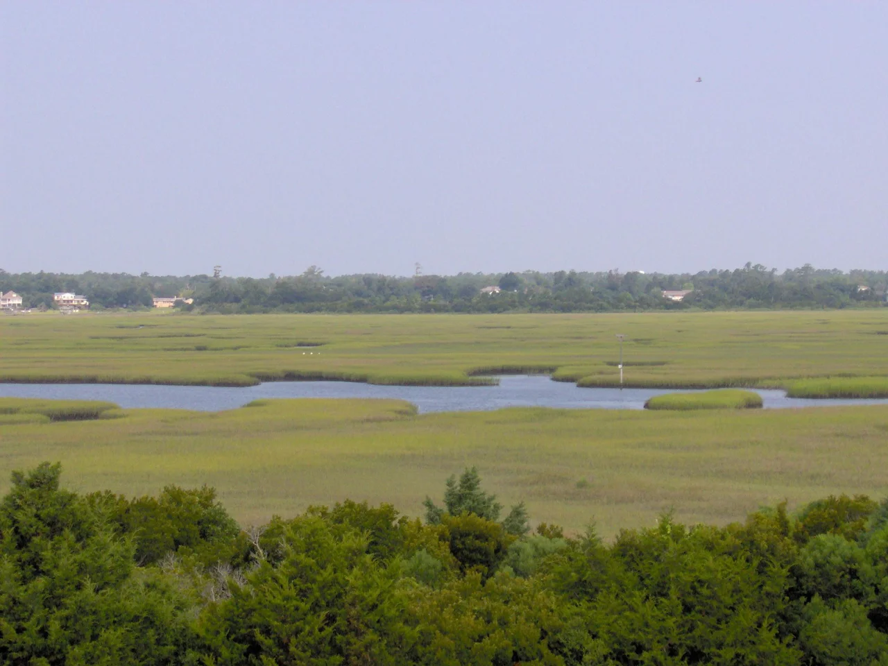 A picture of the marshland on Figure Eight Island as seen from the beach side of the island, picture takin from a 3rd story deck. Credit: Chris H.
