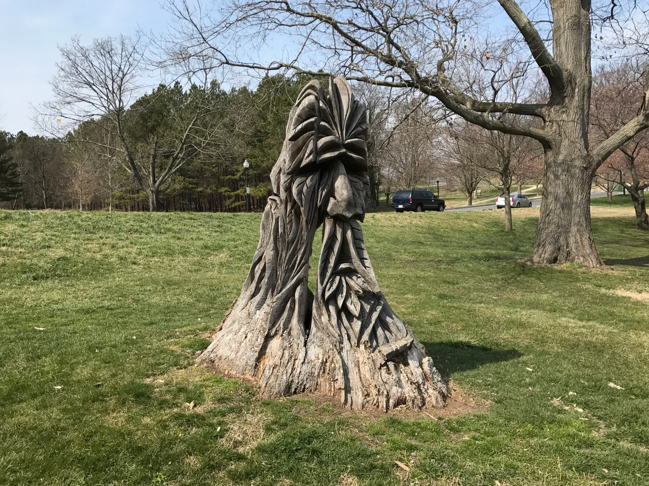Photograph by Eli Pousson, 2017 March 24.