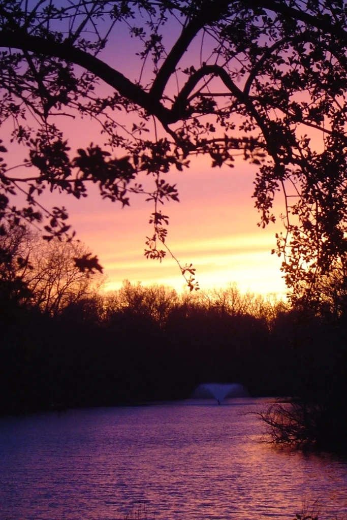 View of Buckingham Lake, Albany New York. Photo is my own.